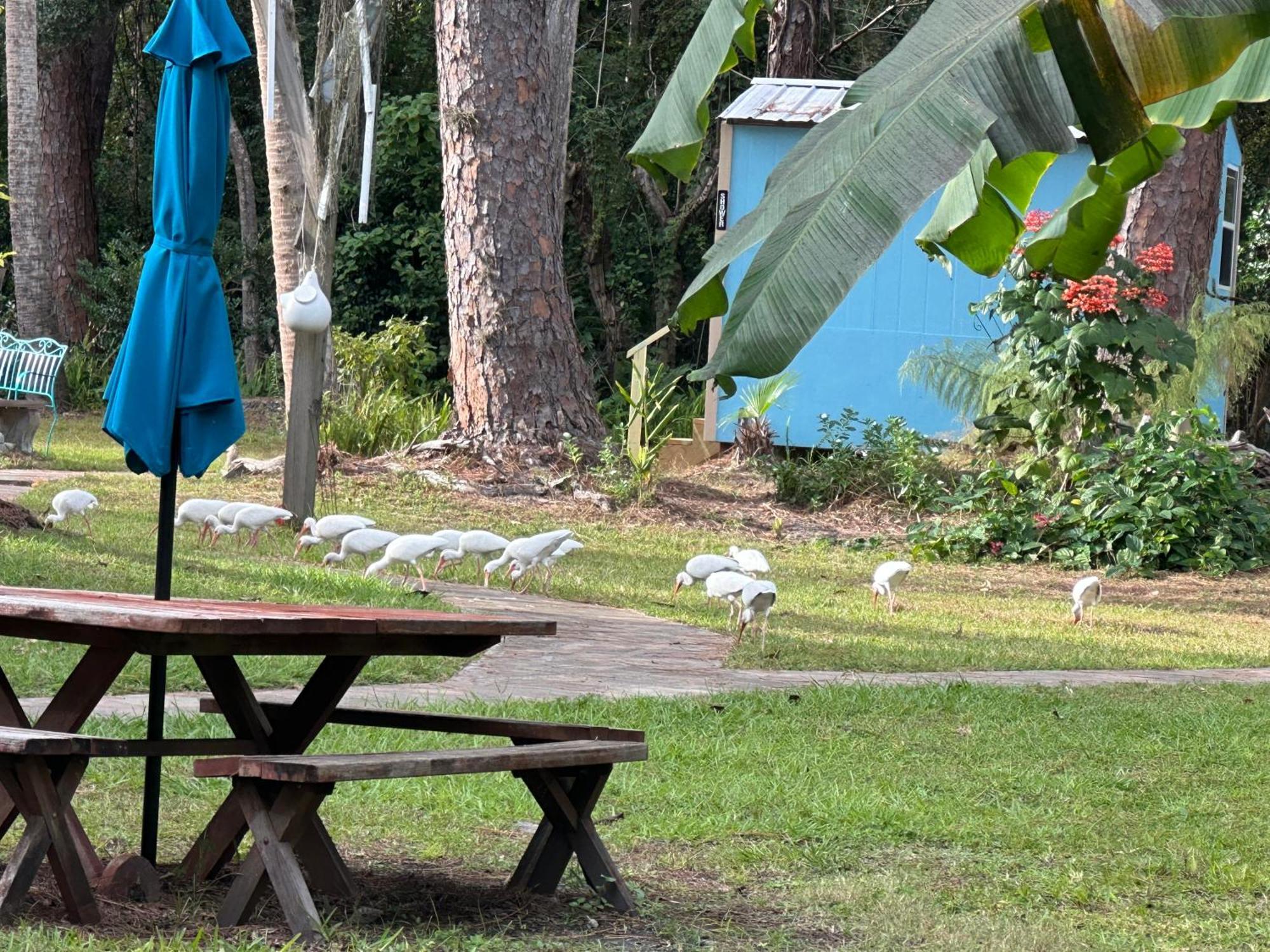 Nature Coast Inn & Cottages Inglis Εξωτερικό φωτογραφία